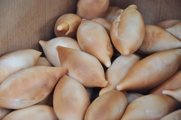 Pan de Loli, a soft local bread also known as Pan de Totoy