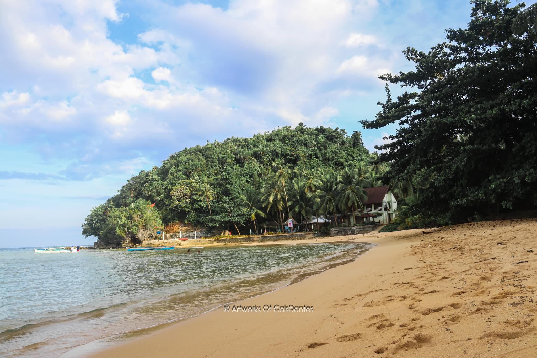 Puyangi Beach's long stretch of white sand lined with palm trees