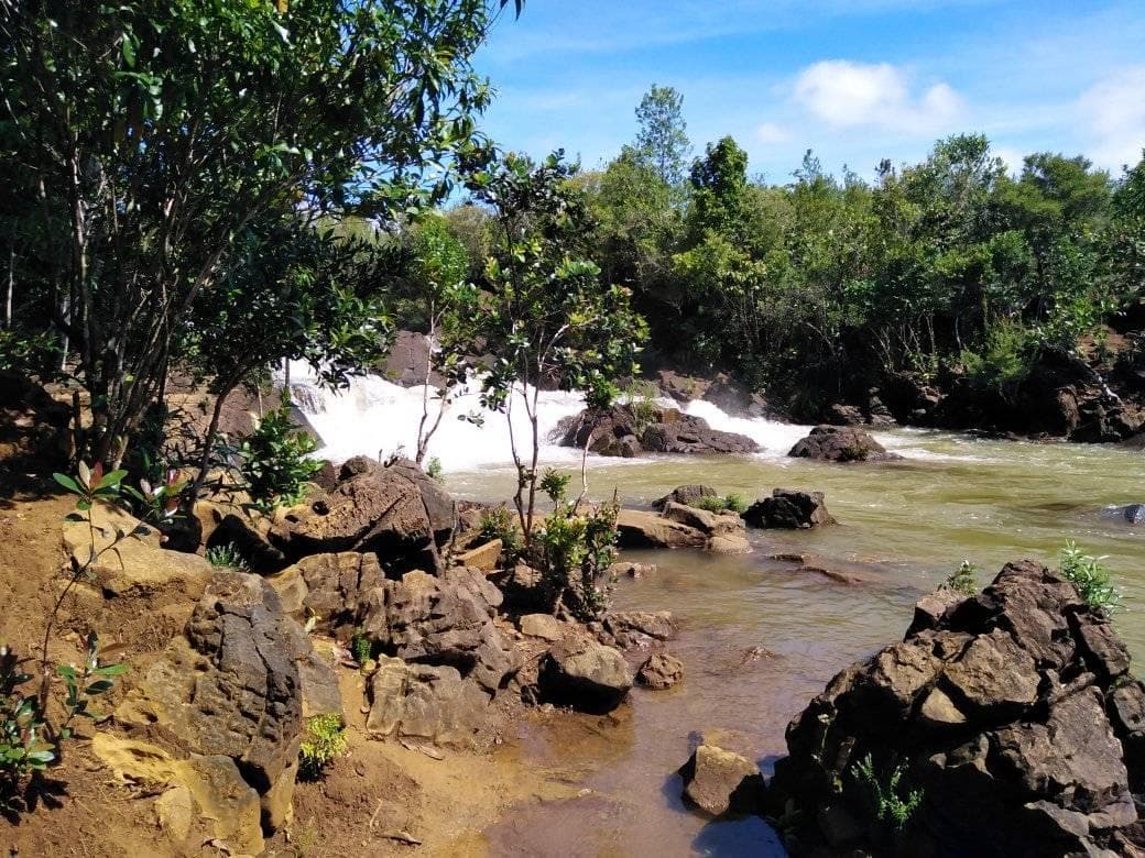 Salog Busay waterfall surrounded by trees in Barangay Salog